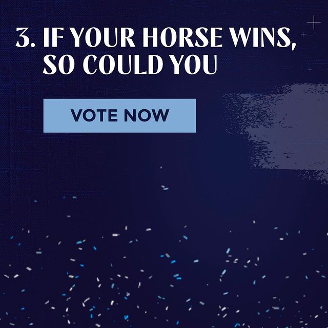 3st step if your horse wins so could you allstarmile
